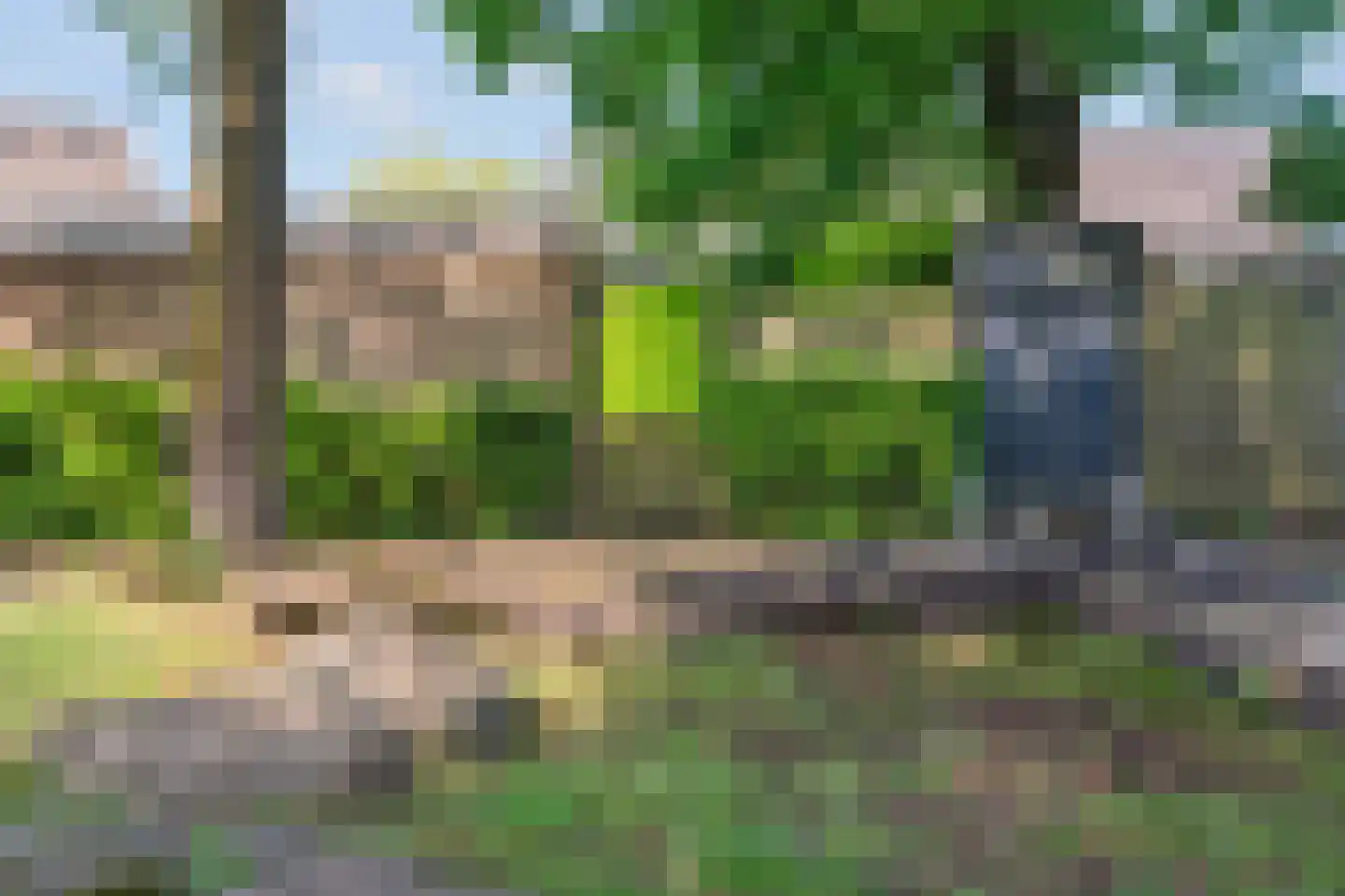 Wildzang 25 Huissen thumbnail 44