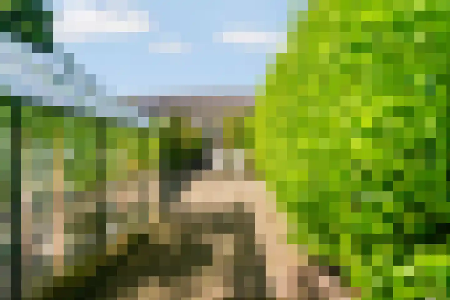 Wildzang 25 Huissen thumbnail 45