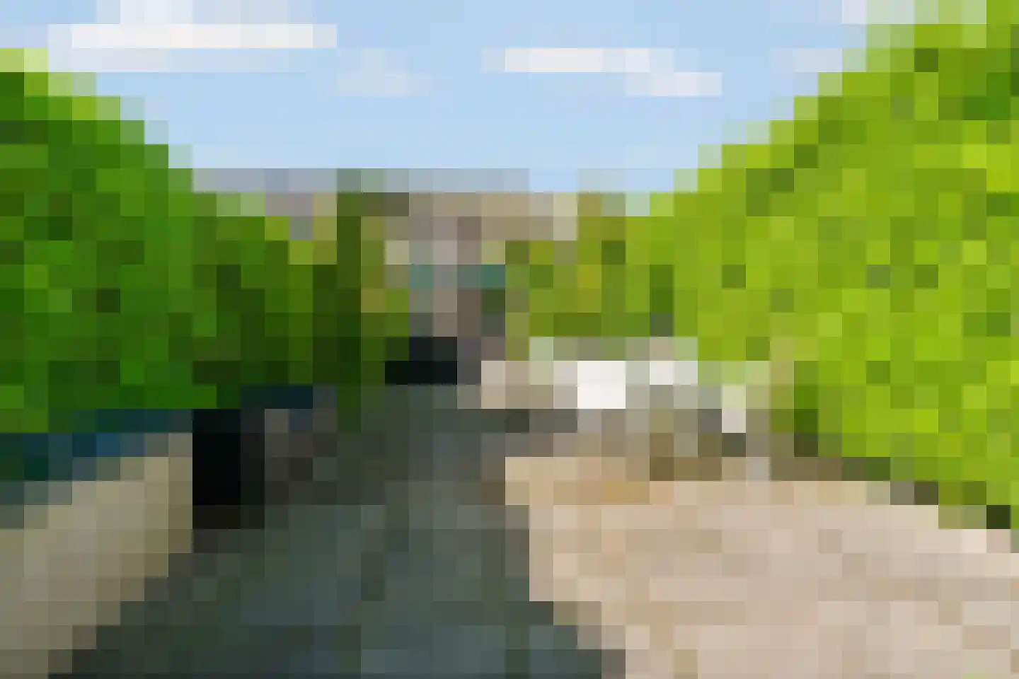 Wildzang 25 Huissen thumbnail 46