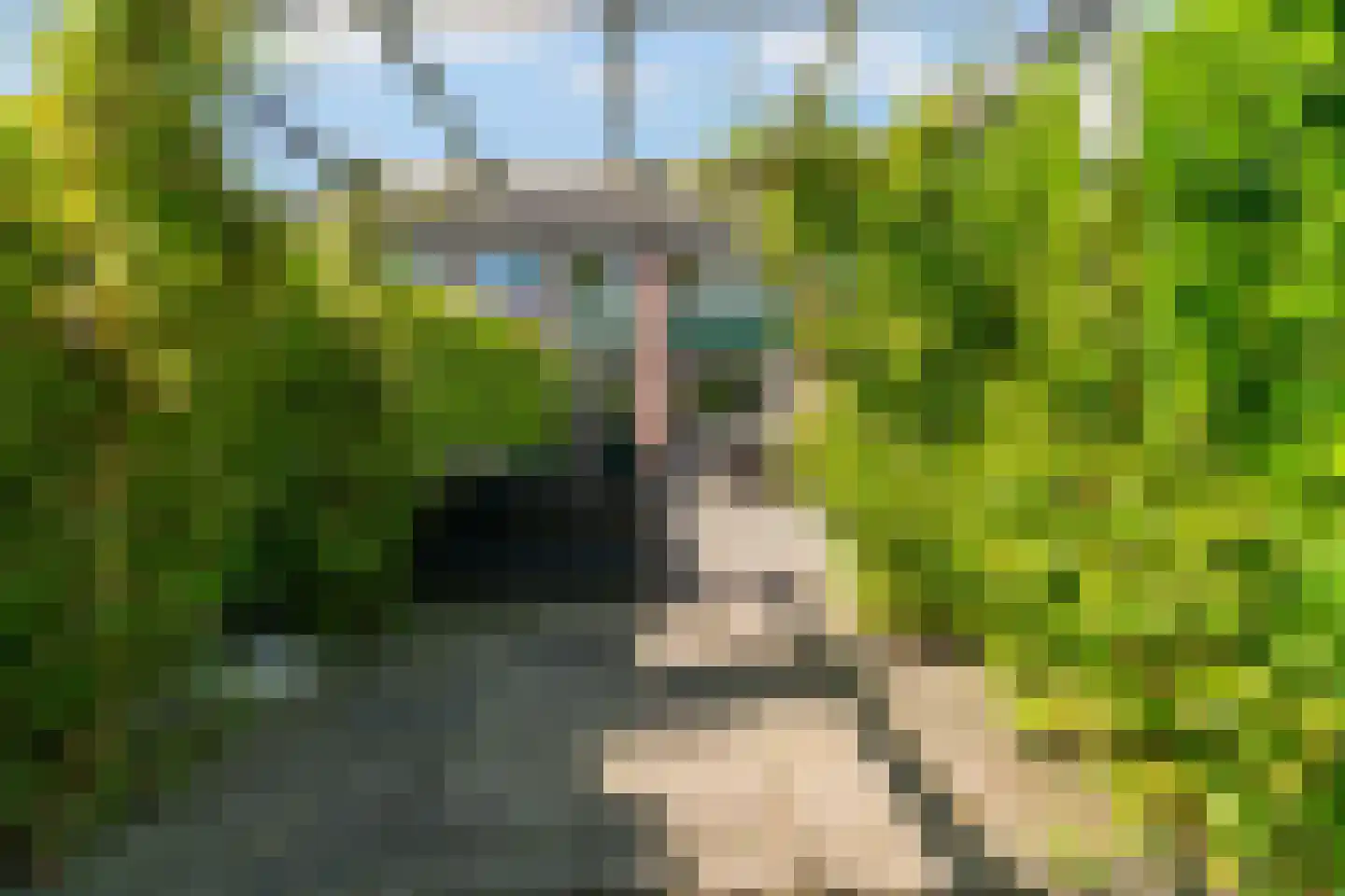 Wildzang 25 Huissen thumbnail 47