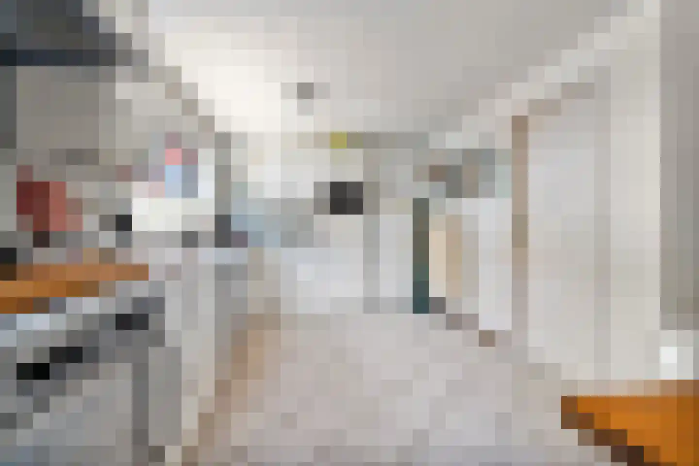 Wildzang 25 Huissen thumbnail 5
