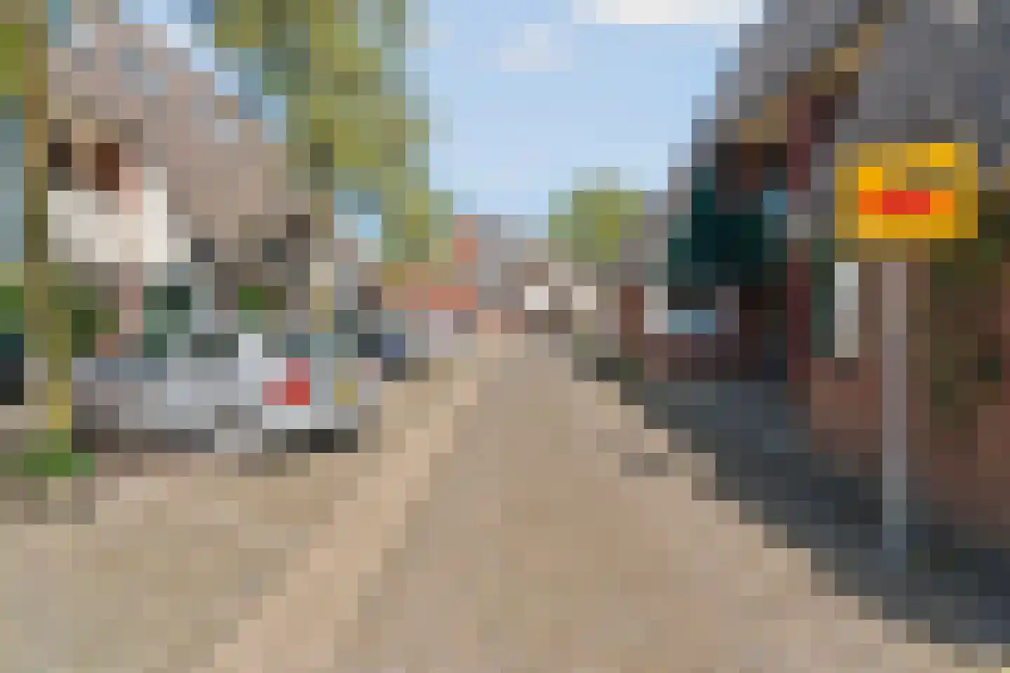 Wildzang 25 Huissen thumbnail 52