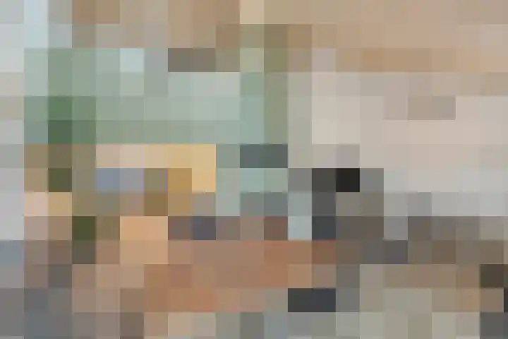 Wildzang 30 Huissen thumbnail 10