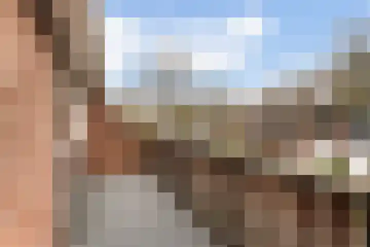 Wildzang 30 Huissen thumbnail 20