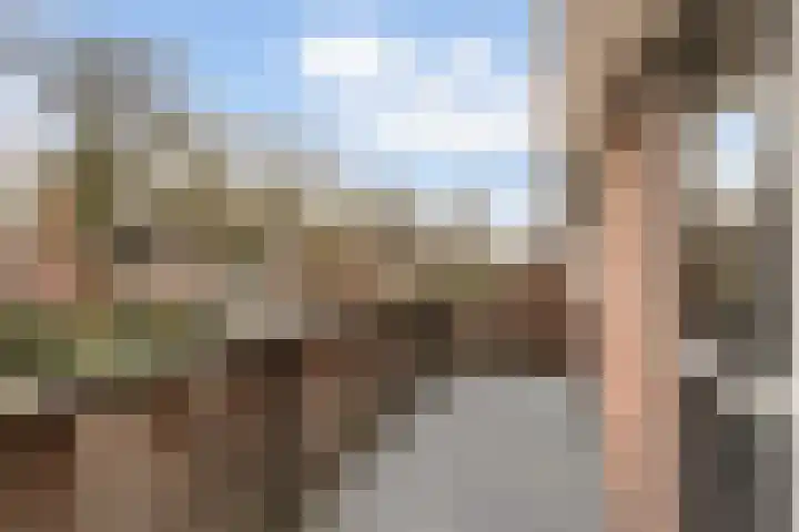 Wildzang 30 Huissen thumbnail 21