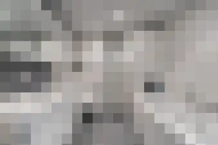 Wildzang 30 Huissen thumbnail 24