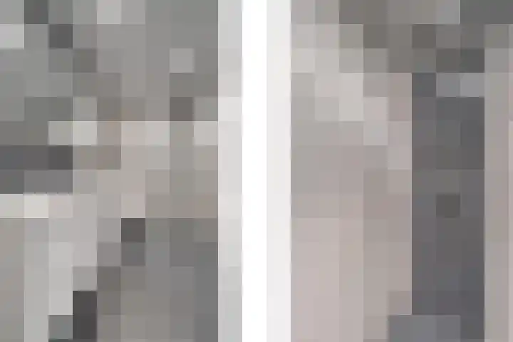 Wildzang 30 Huissen thumbnail 25