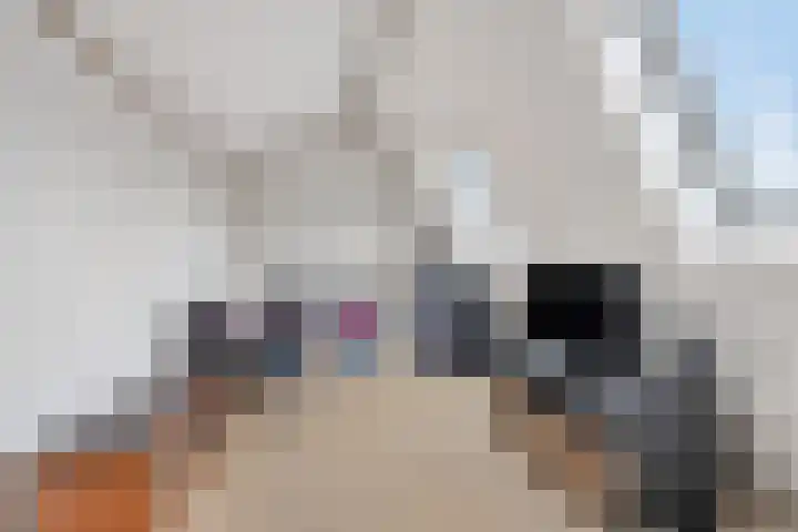 Wildzang 30 Huissen thumbnail 28