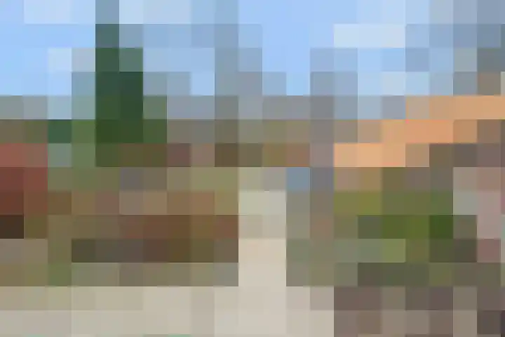 Wildzang 30 Huissen thumbnail 33