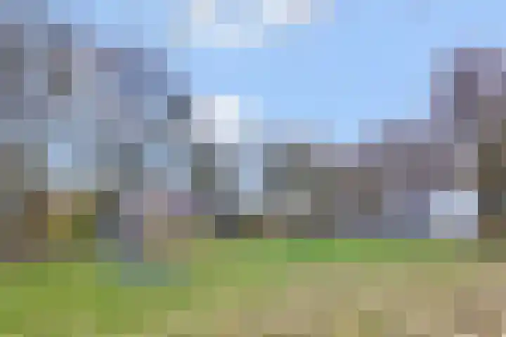 Wildzang 30 Huissen thumbnail 40