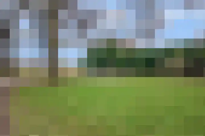 Wildzang 30 Huissen thumbnail 41