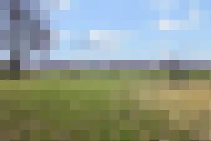 Wildzang 30 Huissen thumbnail 42