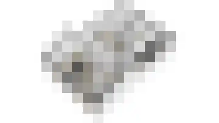 Wildzang 30 Huissen thumbnail 48