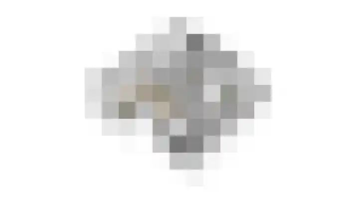 Wildzang 30 Huissen thumbnail 51