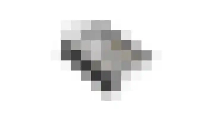 Wildzang 30 Huissen thumbnail 55