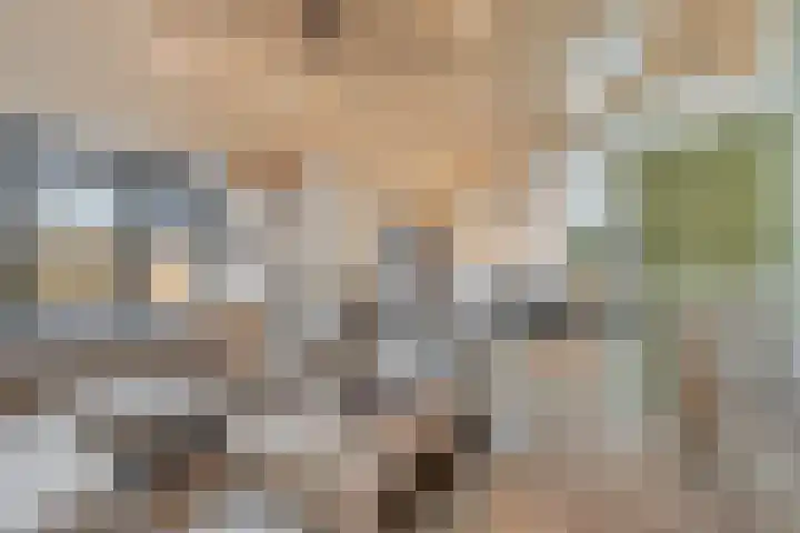 Wildzang 30 Huissen thumbnail 6