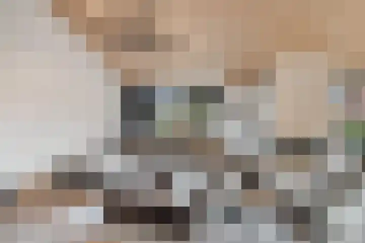 Wildzang 30 Huissen thumbnail 7