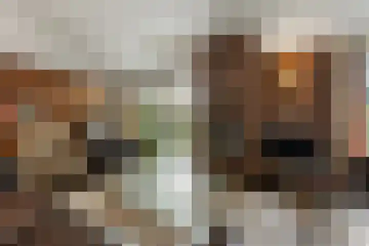 Wildzang 5 Huissen thumbnail 10