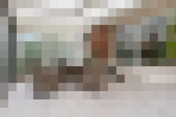 Wildzang 5 Huissen thumbnail 11