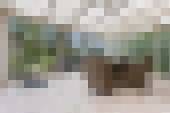 Wildzang 5 Huissen thumbnail 12