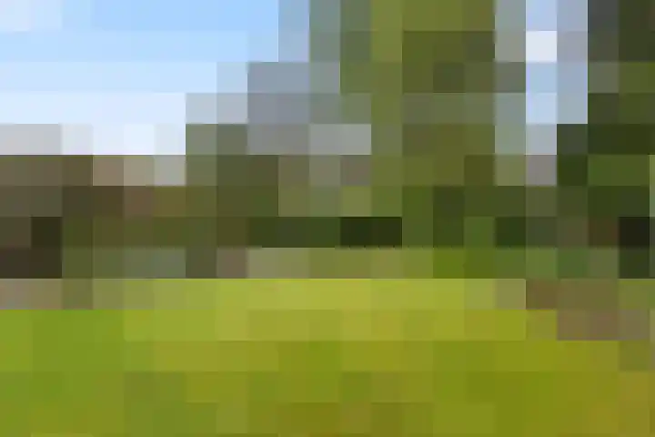 Wildzang 5 Huissen thumbnail 14