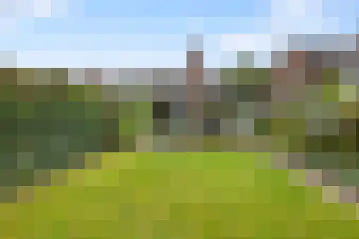 Wildzang 5 Huissen thumbnail 15