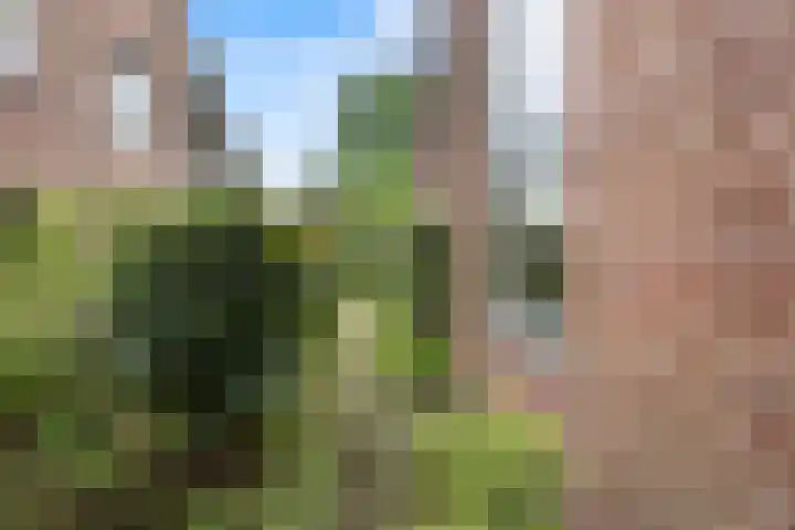 Wildzang 5 Huissen thumbnail 16