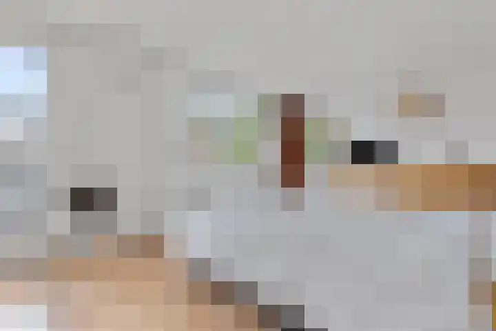 Wildzang 5 Huissen thumbnail 20