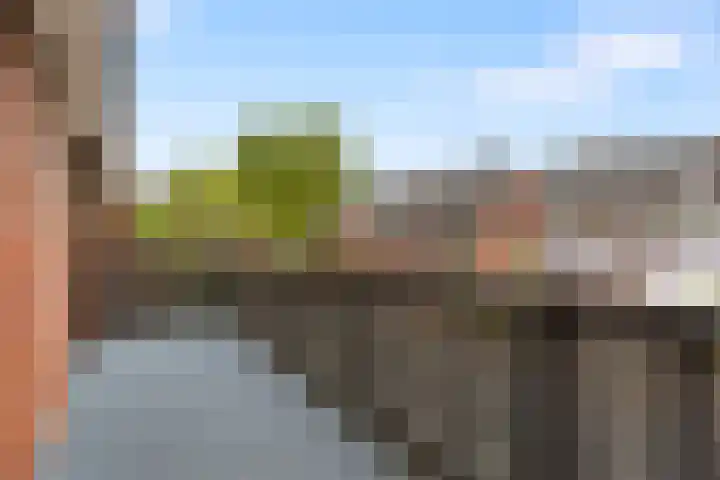 Wildzang 5 Huissen thumbnail 21