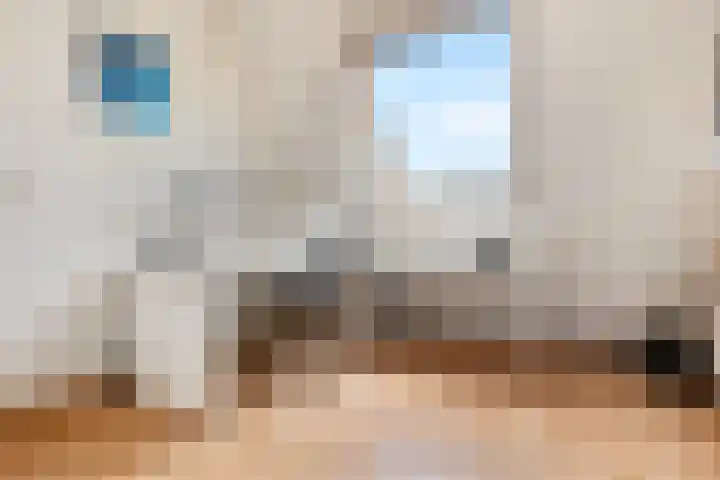 Wildzang 5 Huissen thumbnail 25