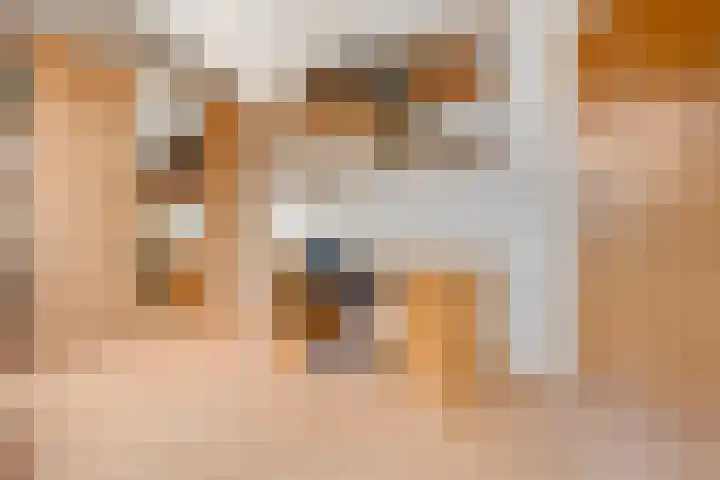 Wildzang 5 Huissen thumbnail 27