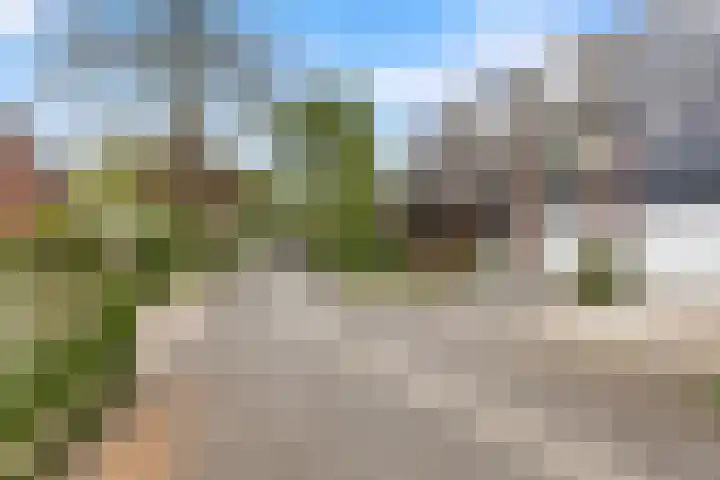 Wildzang 5 Huissen thumbnail 28