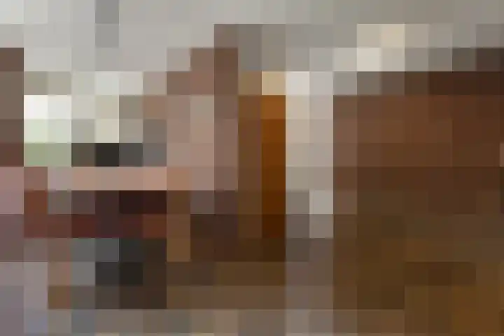 Wildzang 5 Huissen thumbnail 29
