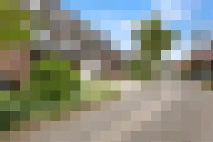 Wildzang 5 Huissen thumbnail 32