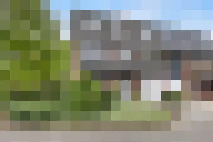 Wildzang 5 Huissen thumbnail 33
