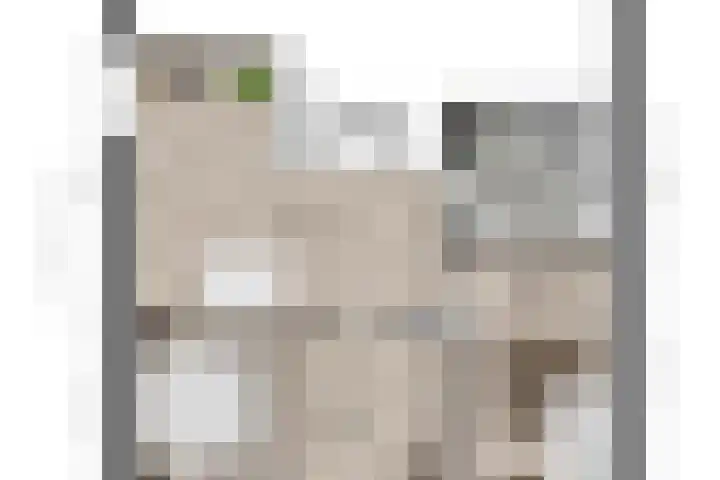 Wildzang 5 Huissen thumbnail 35