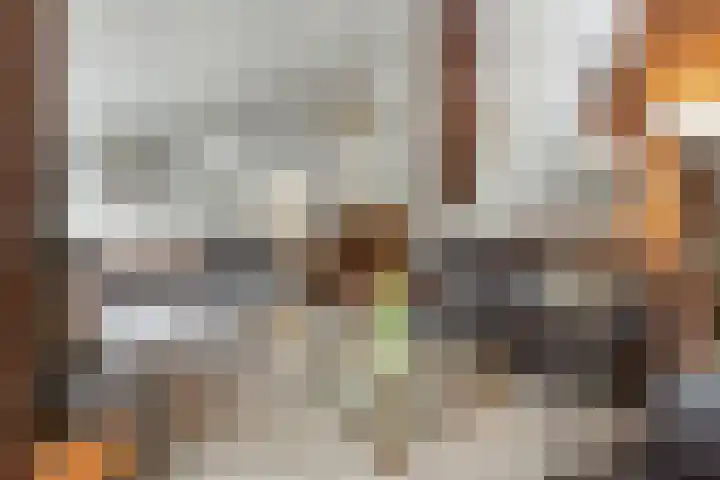 Wildzang 5 Huissen thumbnail 6