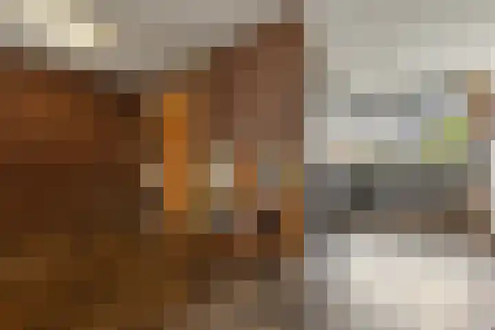 Wildzang 5 Huissen thumbnail 8