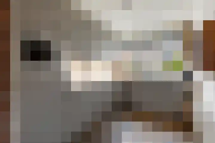Wildzang 5 Huissen thumbnail 9