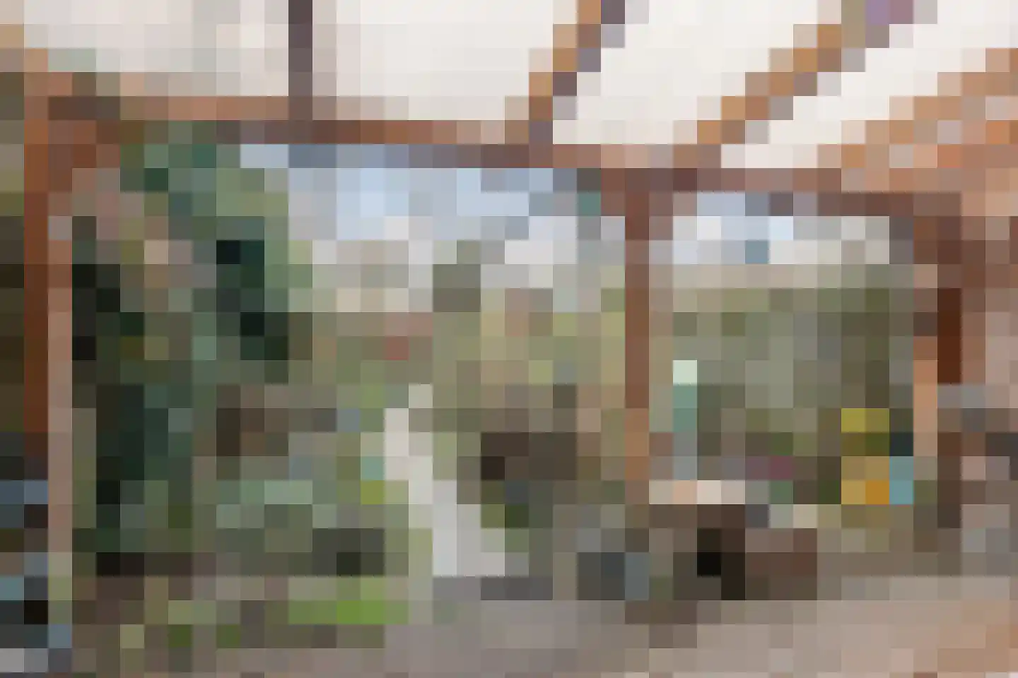 Wildzang 62 Huissen thumbnail 12