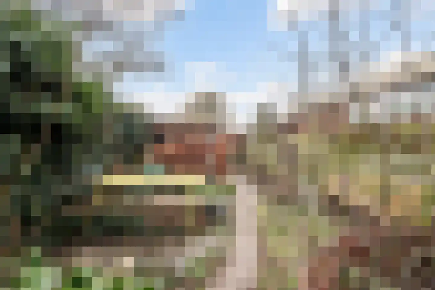 Wildzang 62 Huissen thumbnail 13