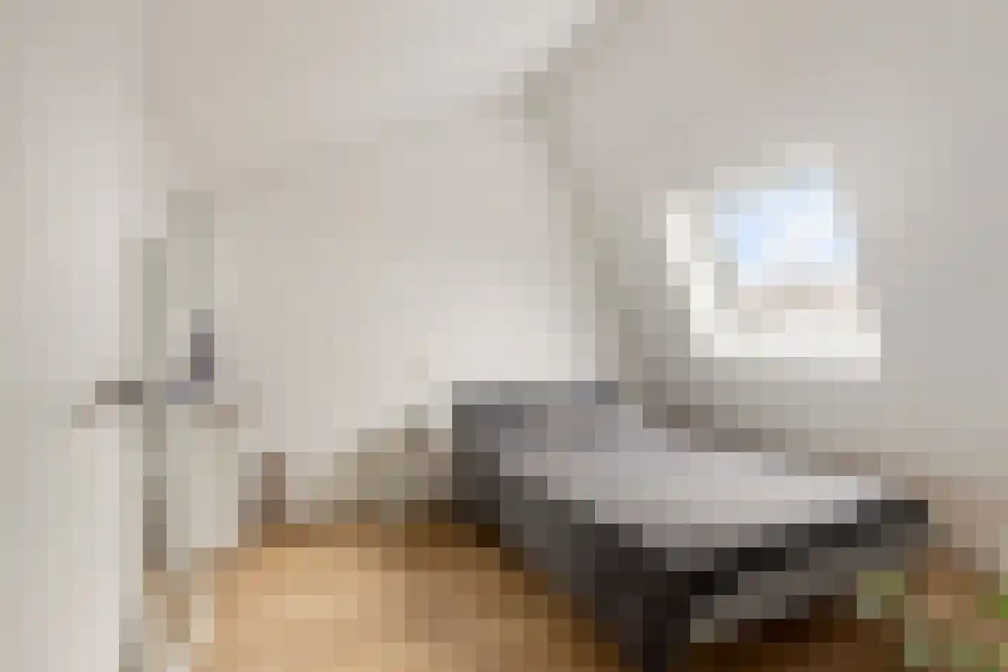 Wildzang 62 Huissen thumbnail 22