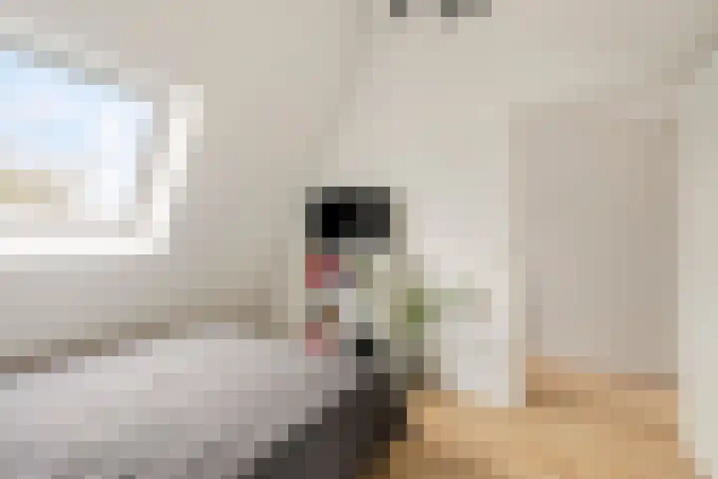 Wildzang 62 Huissen thumbnail 23