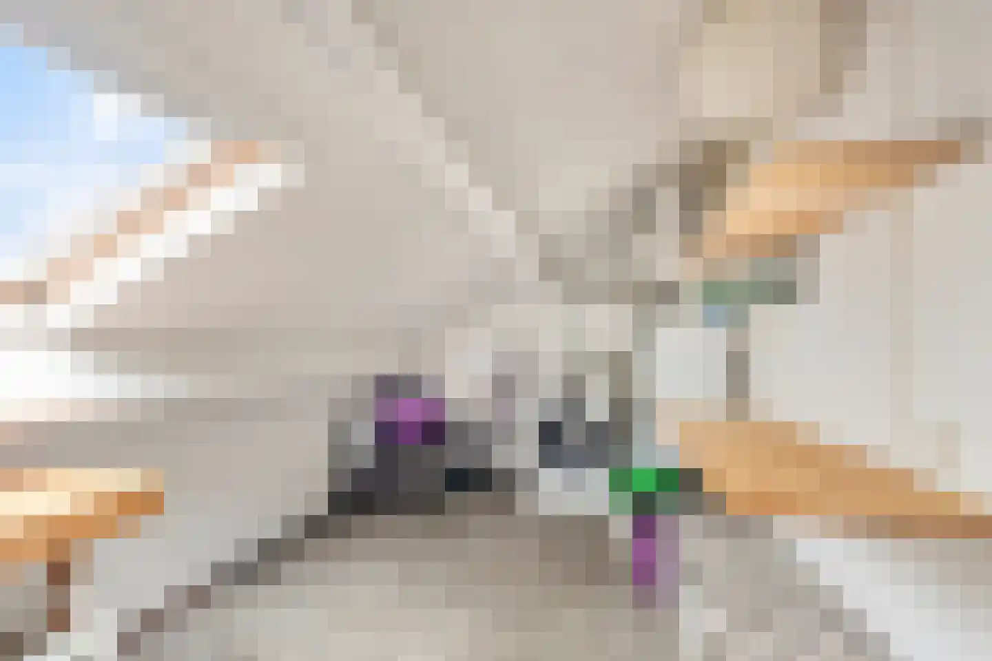 Wildzang 62 Huissen thumbnail 25
