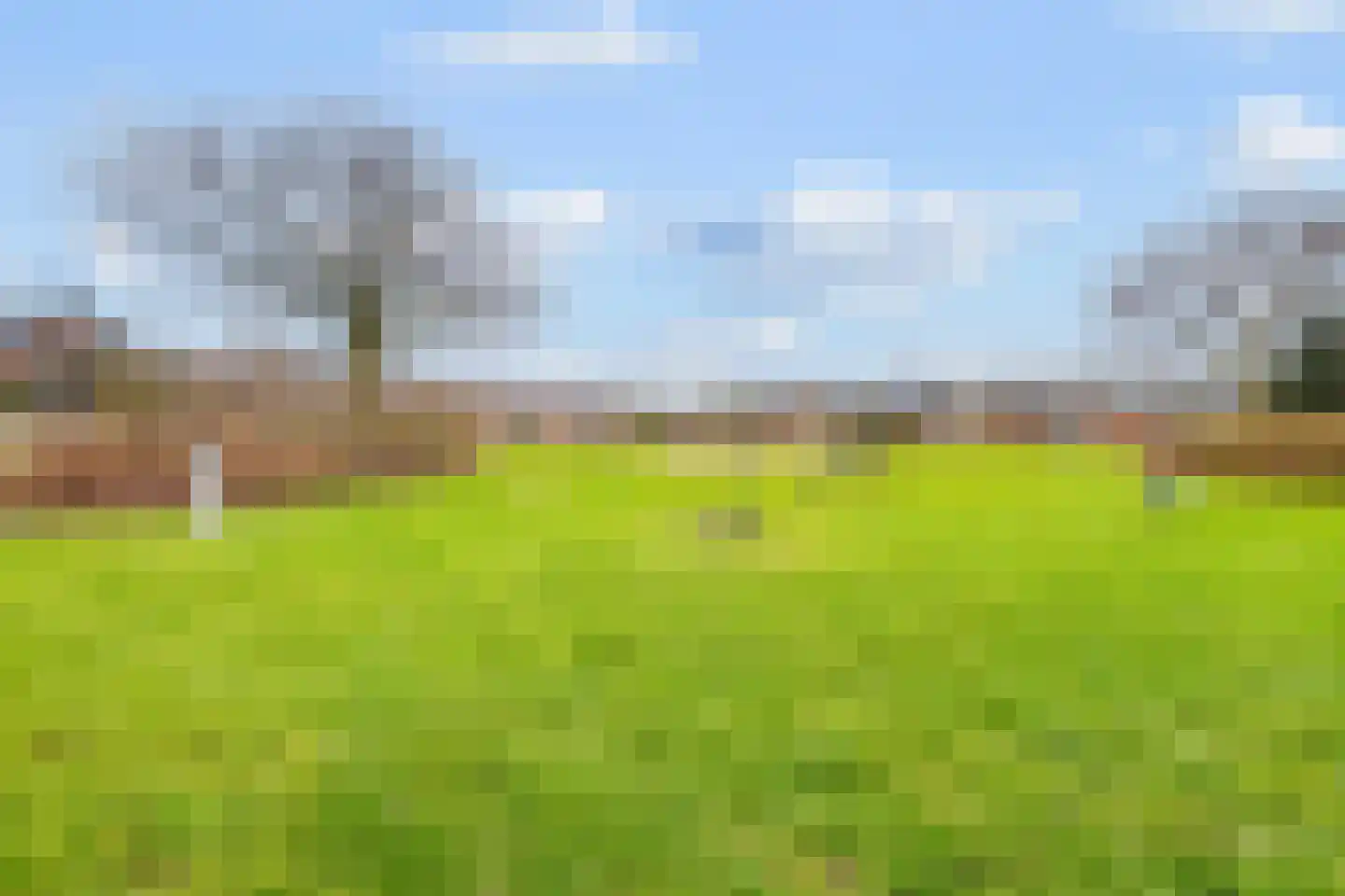 Wildzang 62 Huissen thumbnail 27