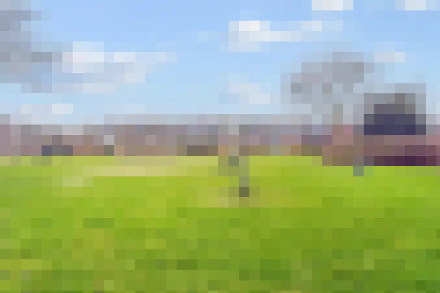 Wildzang 62 Huissen thumbnail 28