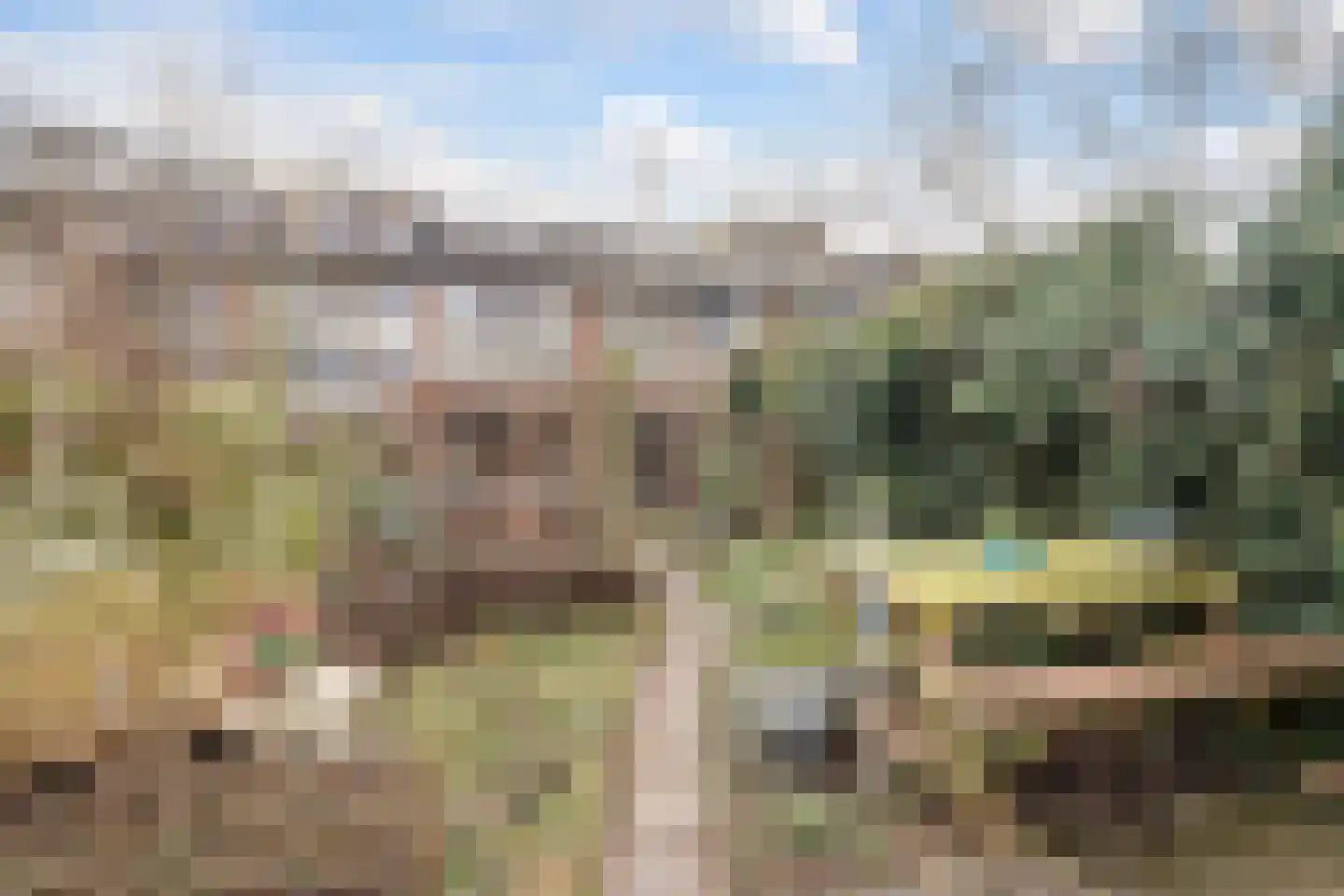 Wildzang 62 Huissen thumbnail 4