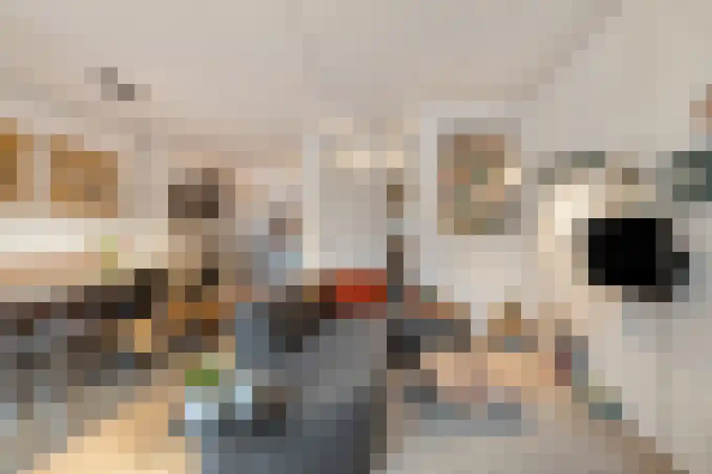 Wildzang 62 Huissen thumbnail 6