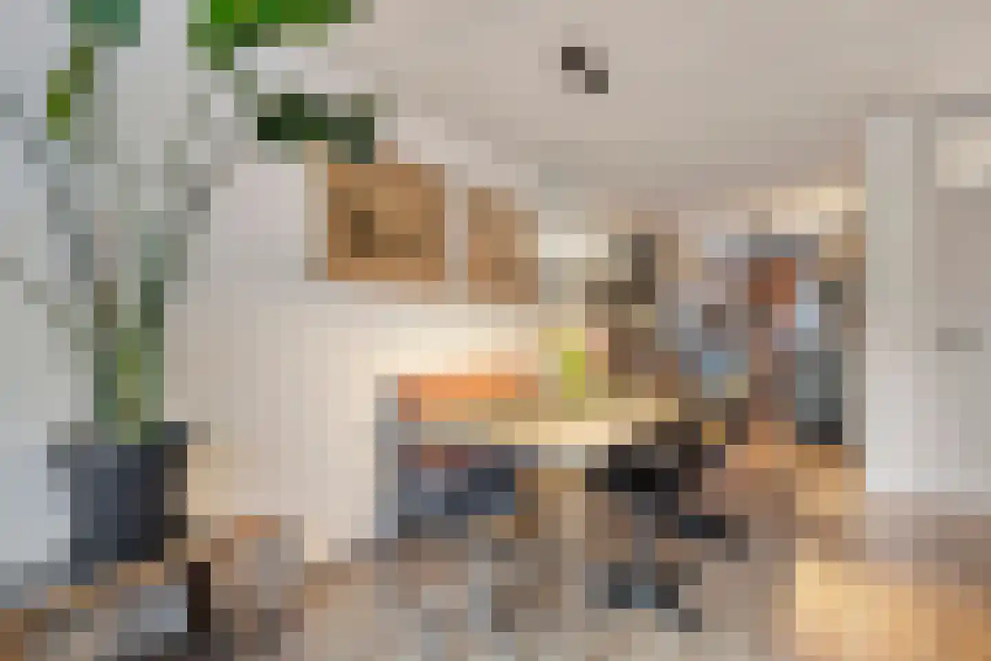 Wildzang 62 Huissen thumbnail 7