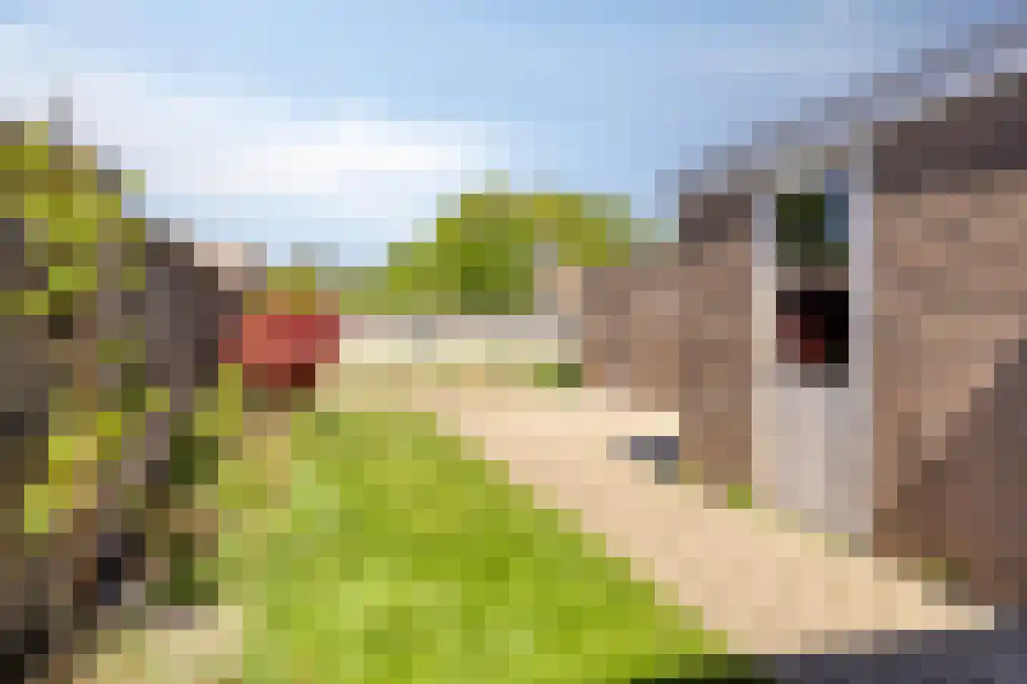 Wildzangweg 4 Dongen thumbnail 6